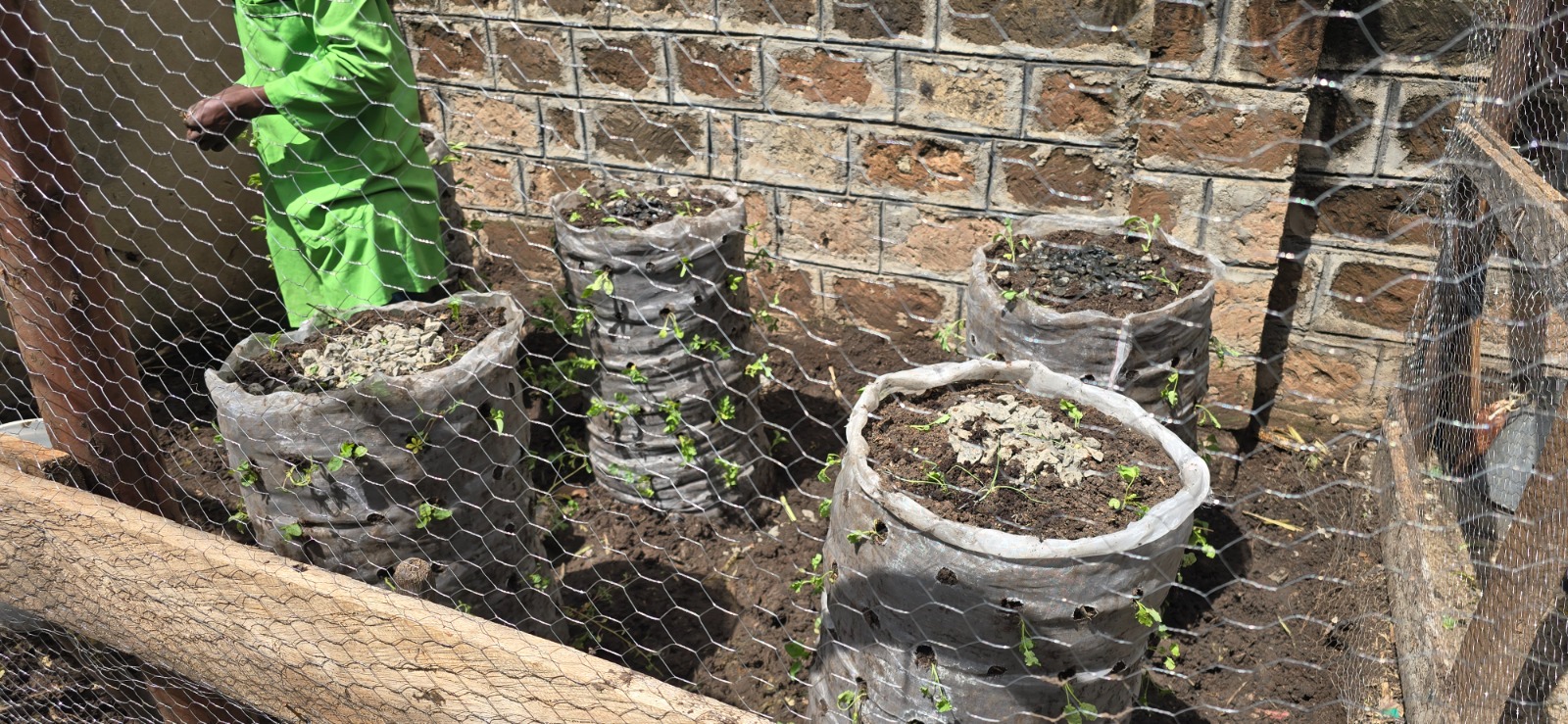 Vertical grow bags